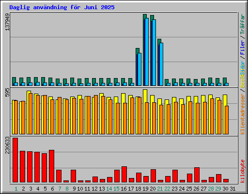 Daglig anv�ndning f�r Juni 2025
