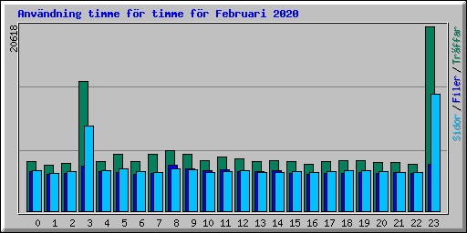 Anvndning timme fr timme fr Februari 2020