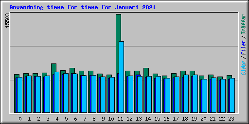 Anvndning timme fr timme fr Januari 2021
