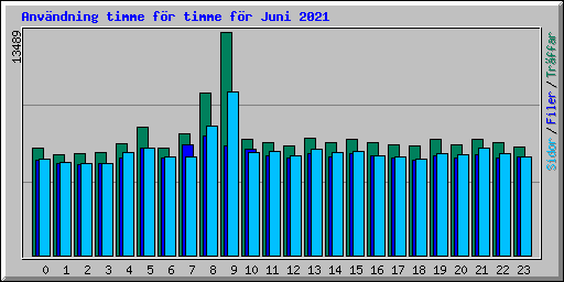 Anvndning timme fr timme fr Juni 2021