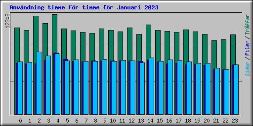 Anvndning timme fr timme fr Januari 2023