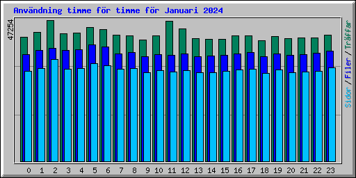 Anvndning timme fr timme fr Januari 2024