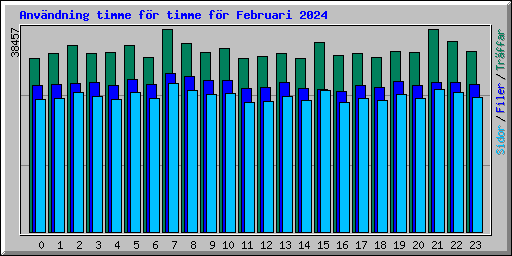 Anvndning timme fr timme fr Februari 2024