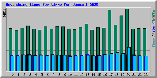 Anvndning timme fr timme fr Januari 2025