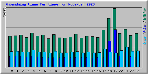 Anv�ndning timme f�r timme f�r November 2025